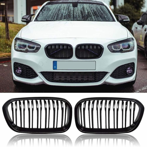 двойни бъбреци за BMW F20