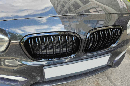 двойни бъбреци за BMW F20