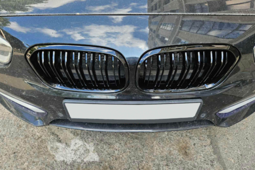 двойни бъбреци за BMW F20
