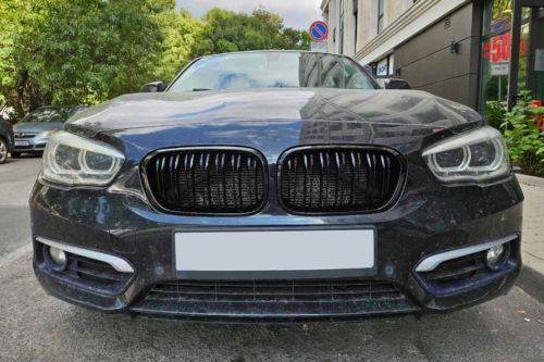 двойни бъбреци за BMW F20