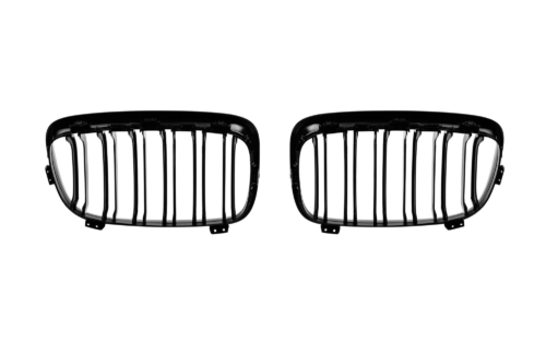 двойни бъбреци за BMW F20