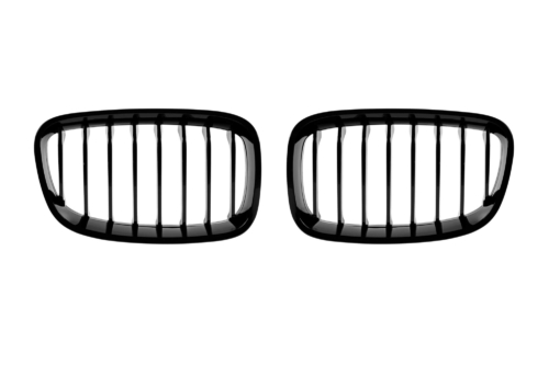 двойни бъбреци за BMW F20