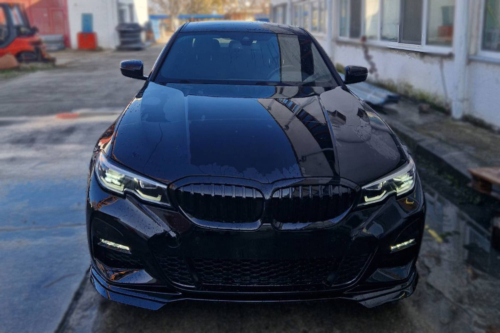 бъбреци BMW G20