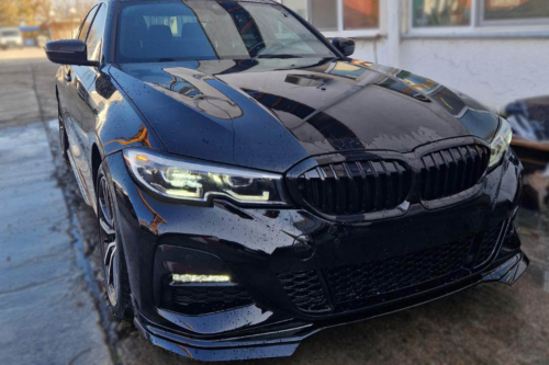 бъбреци BMW G20