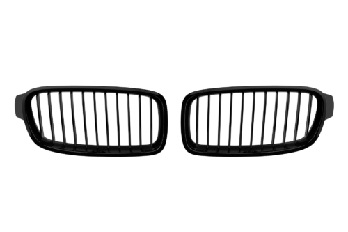 бъбреци BMW F30