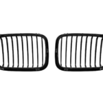 бъбреци E46