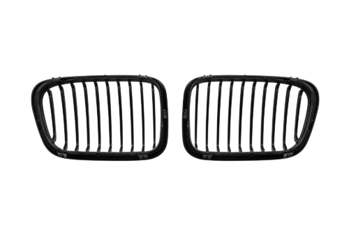 бъбреци E46
