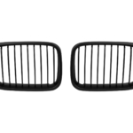 бъбреци E46