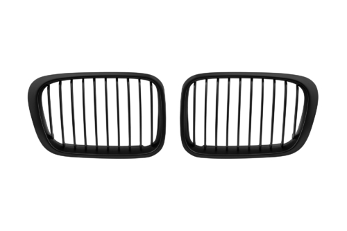 бъбреци E46