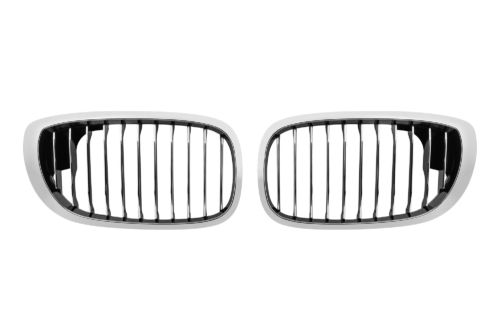 бъбреци E46