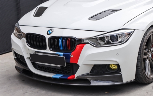 двойни бъбреци BMW F30