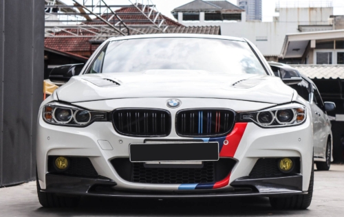 двойни бъбреци BMW F30