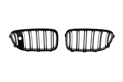 двойни бъбреци за BMW F10