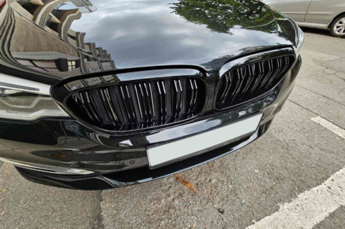 двойни бъбреци за BMW G30