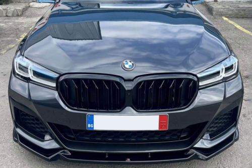 двойни бъбреци за BMW G30