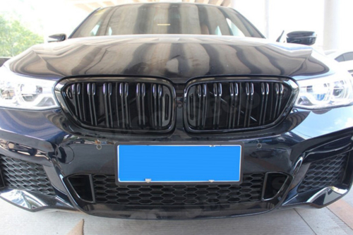 Двойни бъбреци за BMW 6 G32