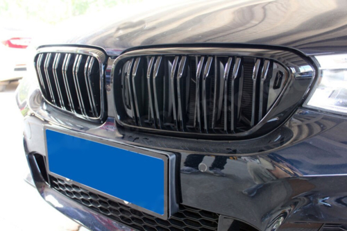 Двойни бъбреци за BMW 6 G32