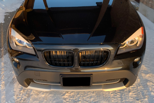 двойни бъбреци за BMW X1 E84
