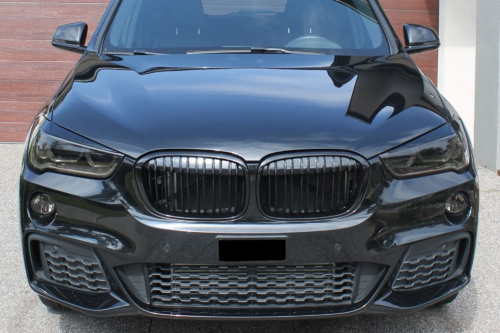 двойни бъбреци за BMW X1 F48