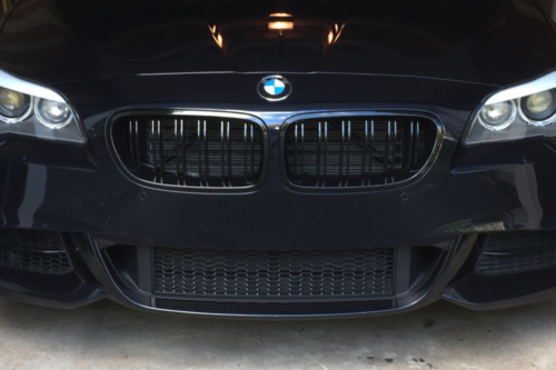 двойни бъбреци BMW F10