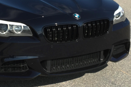 двойни бъбреци BMW F10