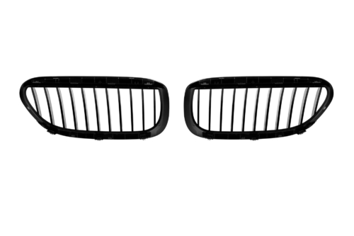 черни бъбреци за BMW E63