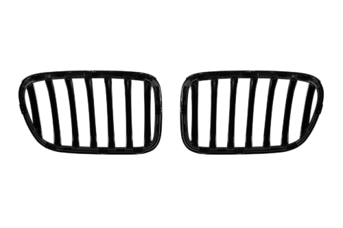 черни бъбреци X3 F25