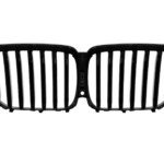черни бъбреци X5 G05