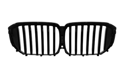 черни бъбреци X5 G05