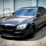 двойни бъбреци за BMW F01